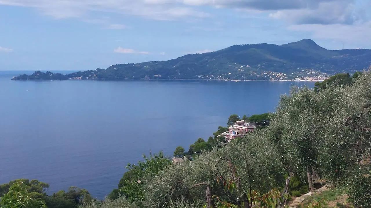 Mare E Vista Portofino - Sea And Portofino View Apartment
