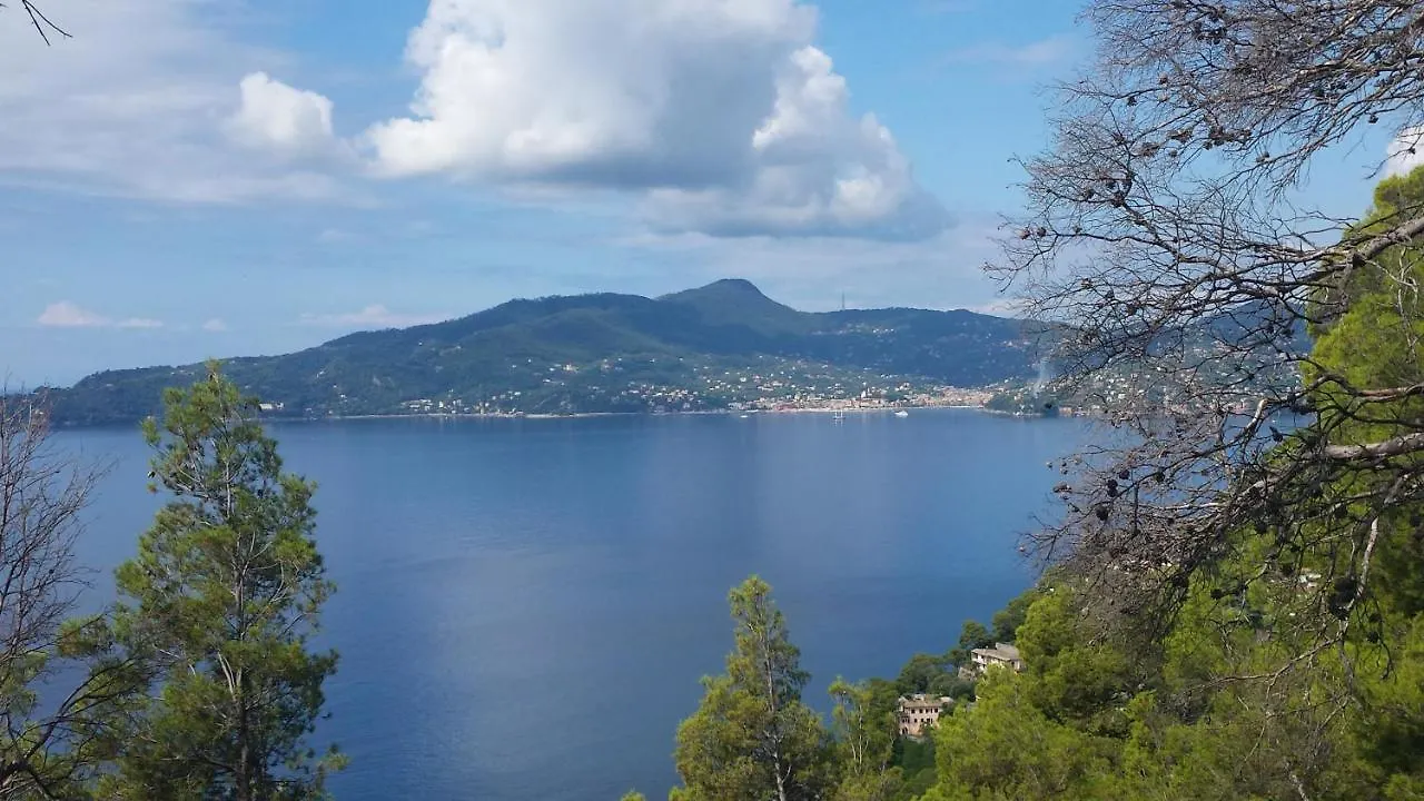 Mare E Vista Portofino - Sea And Portofino View Apartment Zoagli
