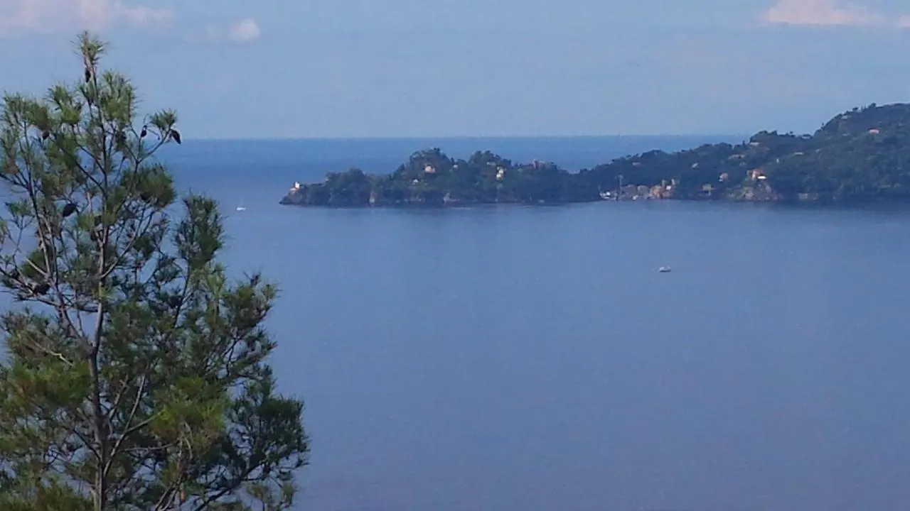 Mare E Vista Portofino - Sea And Portofino View Italy